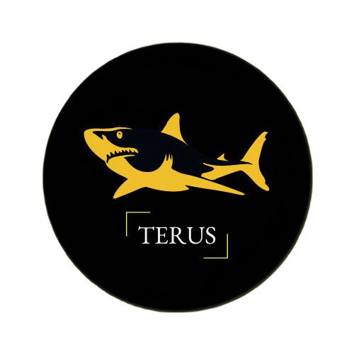 CÔNG TY TNHH CÔNG NGHỆ TERUS