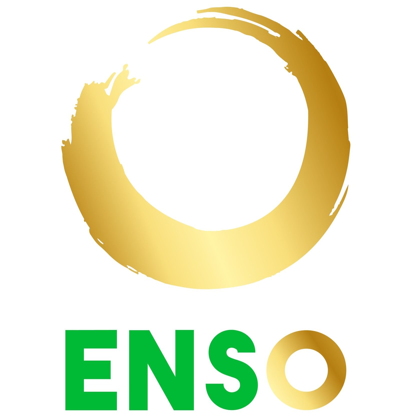 CÔNG TY CỔ PHẦN TẬP ĐOÀN ENSO