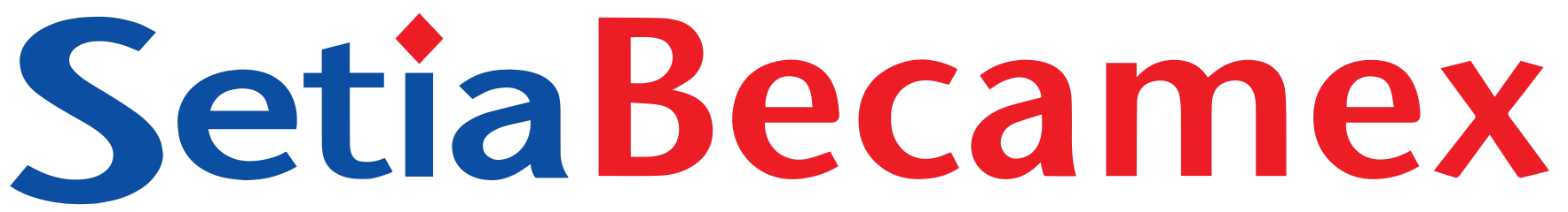 Công ty Cổ phần SetiaBecamex