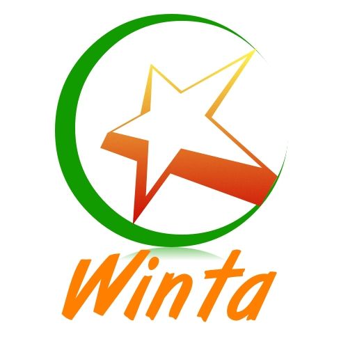 CÔNG TY CỔ PHẦN WINTA