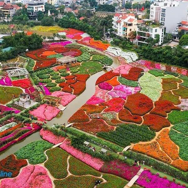 Thung lũng hoa Hồ Tây