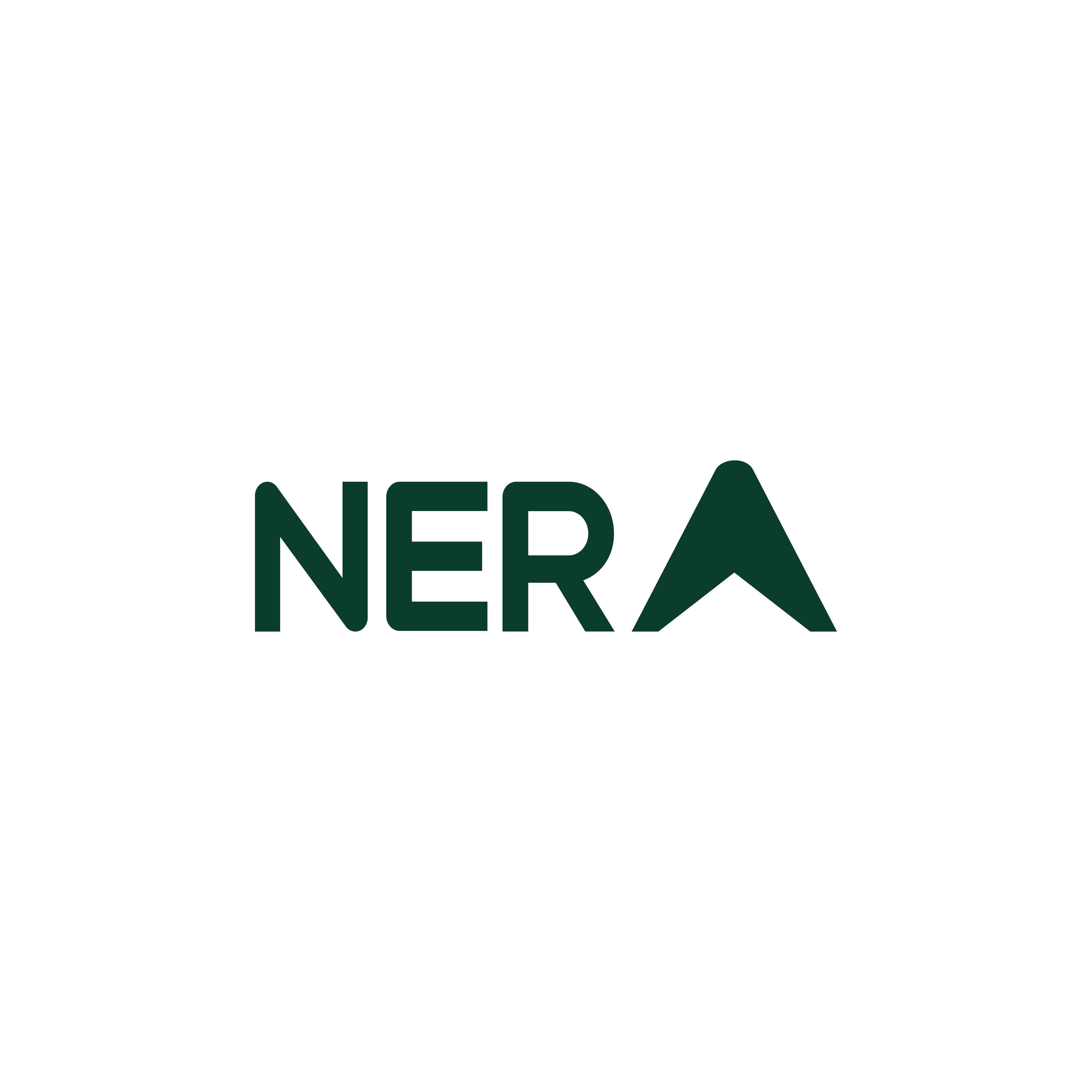 CÔNG TY CỔ PHẦN TẬP ĐOÀN NERAGROUP