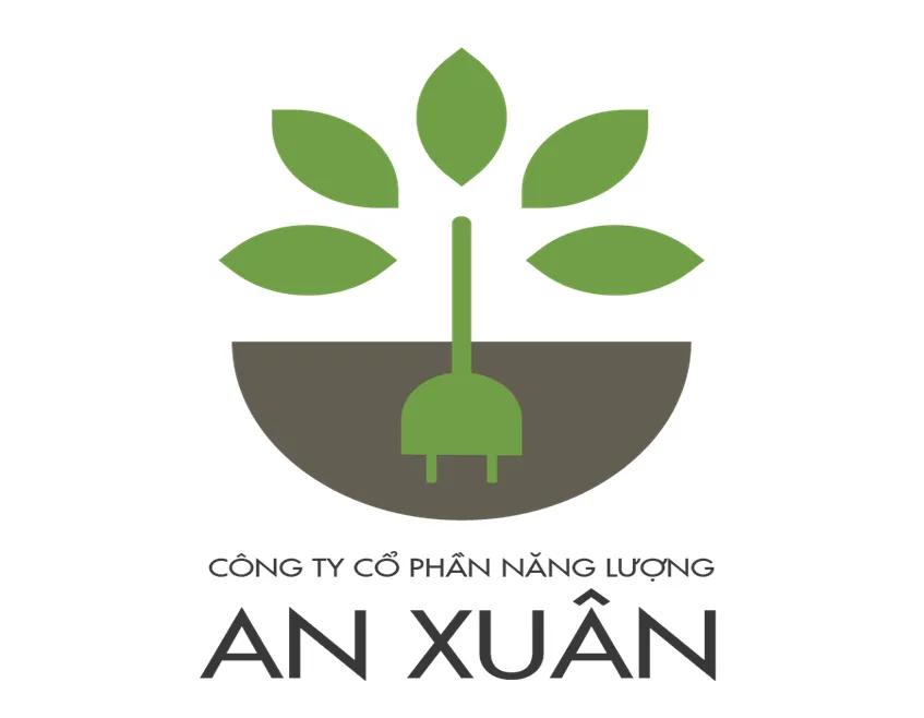 CÔNG TY CỔ PHẦN NĂNG LƯỢNG AN XUÂN