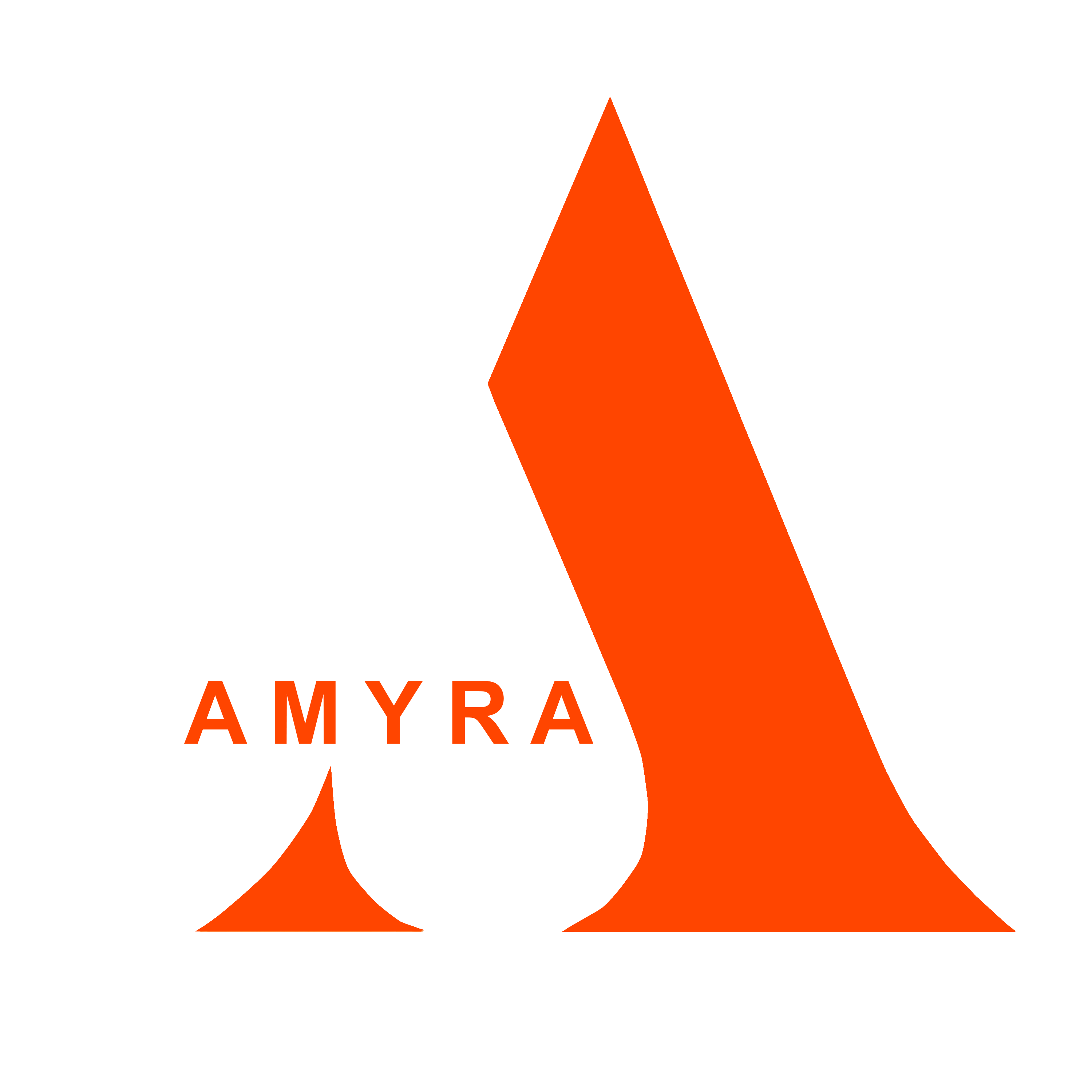 Công ty Cổ phần Đầu tư AMYRA
