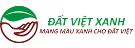 CÔNG TY TNHH PHÁT TRIỂN ĐẤT VIỆT XANH