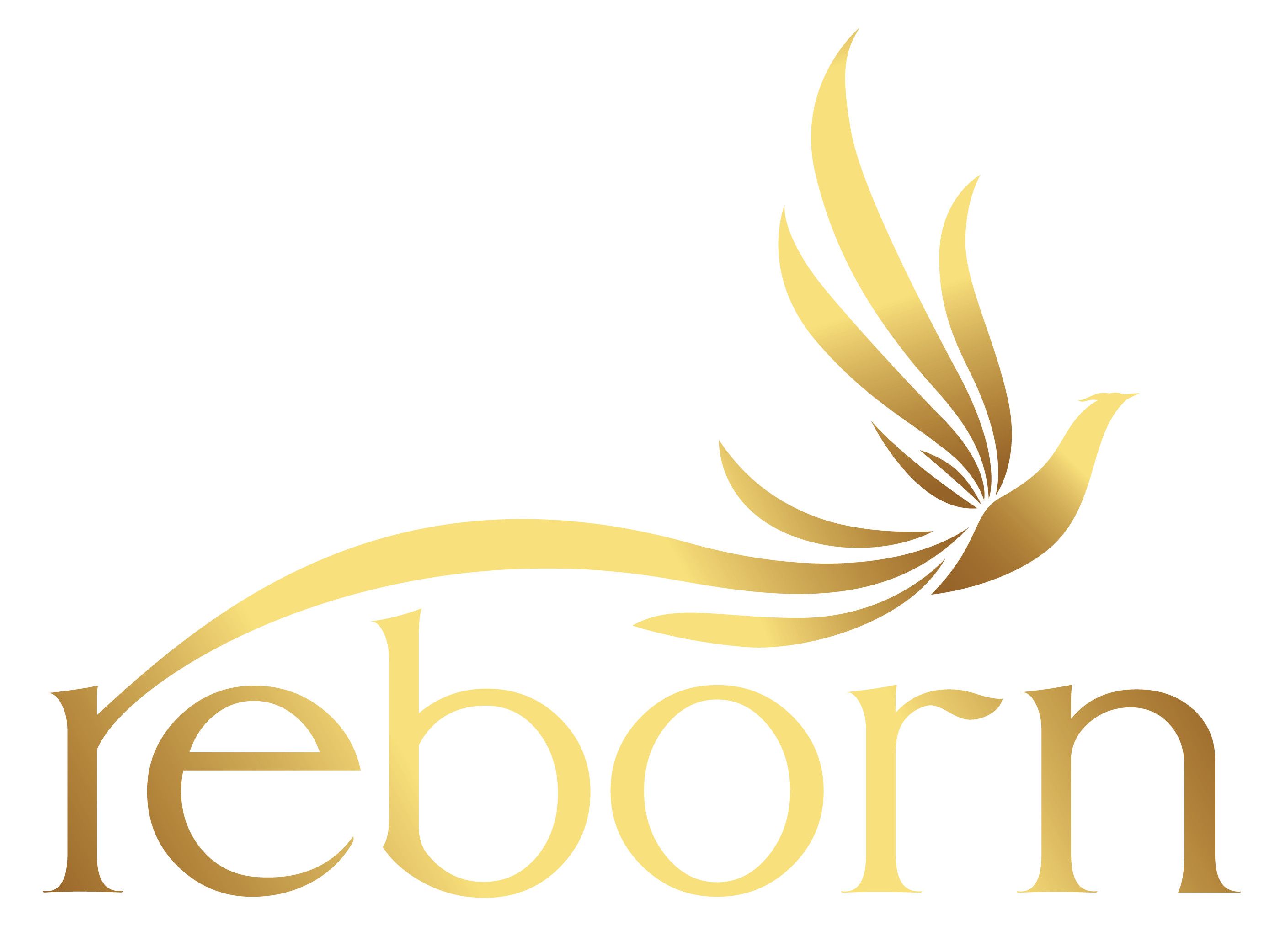 CÔNG TY TNHH PHÁT TRIỂN REBORN