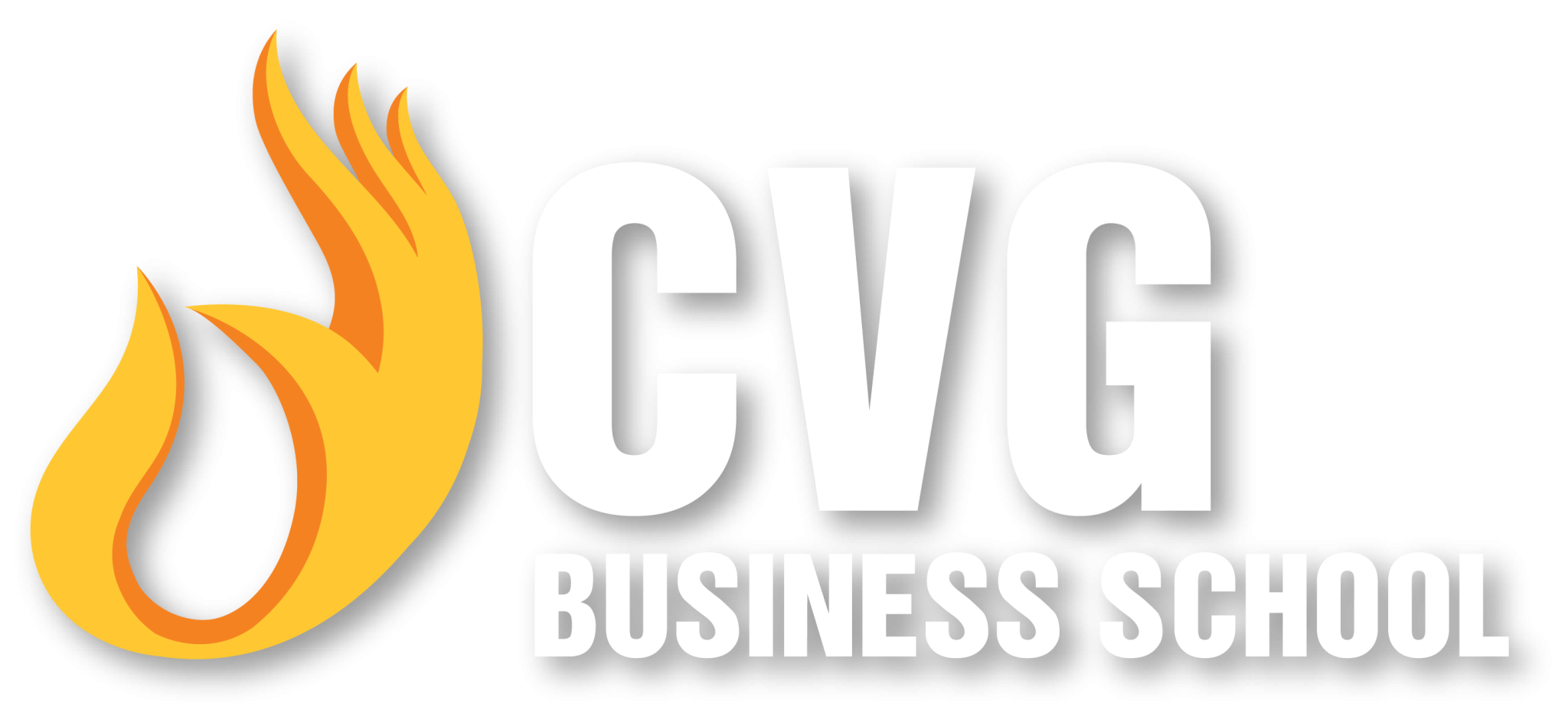 CÔNG TY CỔ PHẦN HỌC VIỆN DOANH NHÂN CEO VIỆT NAM