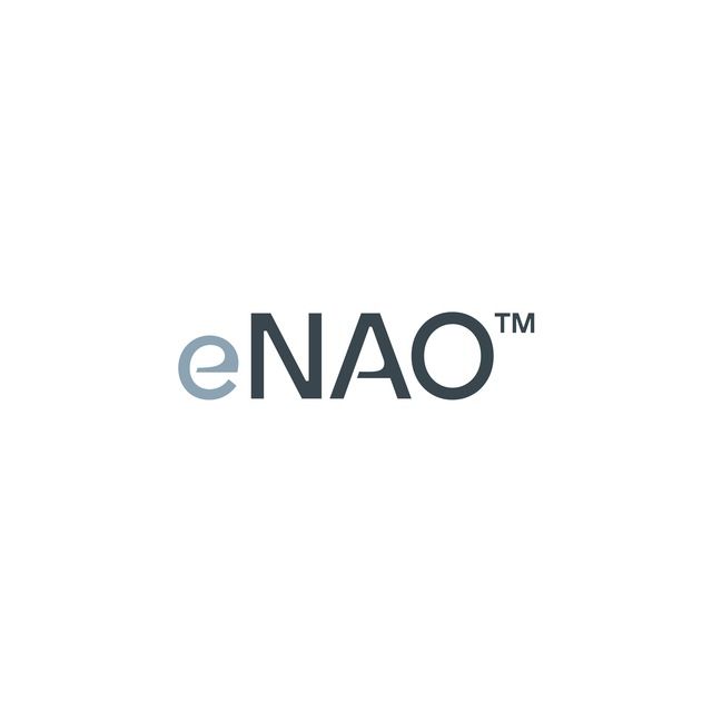 Công ty Cổ phần Giải pháp EnterpriseNao