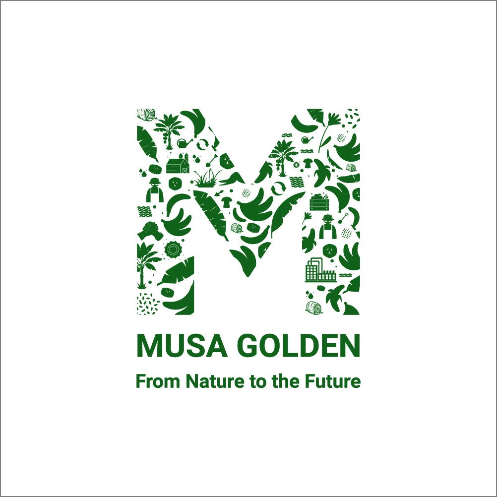 Musa Golden Lào Cai