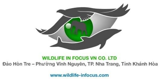 CÔNG TY TNHH WILDLIFE IN FOCUS VN