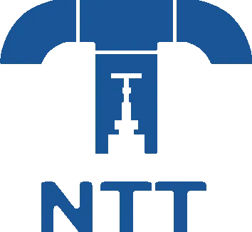 CÔNG TY TNHH THƯƠNG MẠI KỸ THUẬT NTT VIỆT NAM