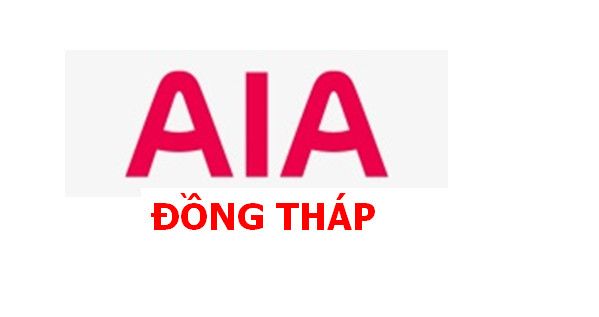 CÔNG TY TNHH TỔNG ĐẠI LÝ BẢO HIỂM ĐỒNG THÁP