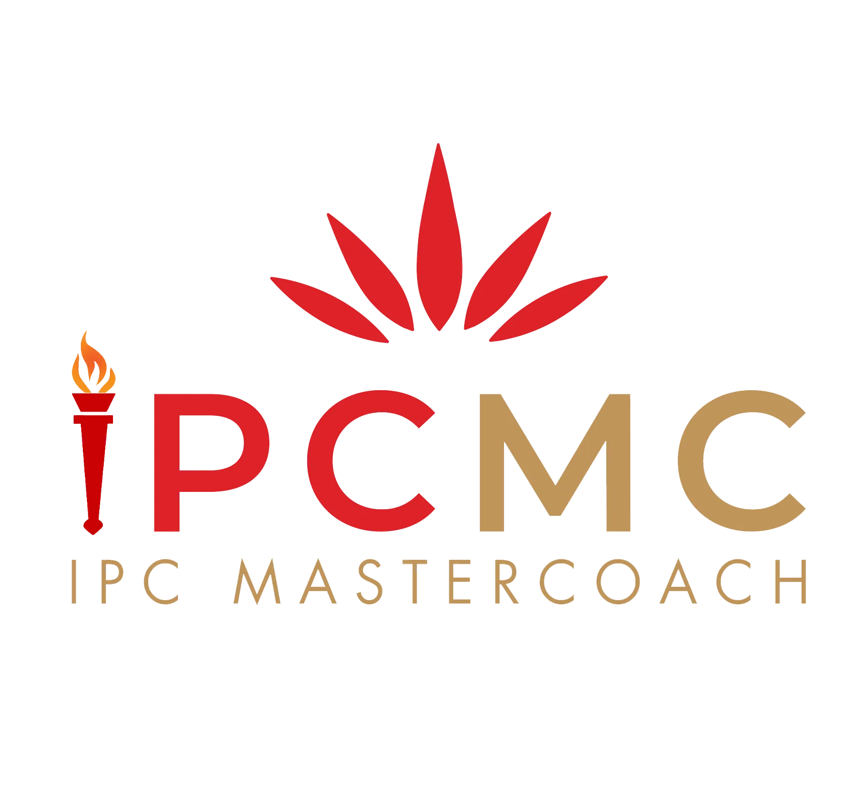 CÔNG TY CỔ PHẦN TẬP ĐOÀN QUỐC TẾ IPC MASTERCOACH