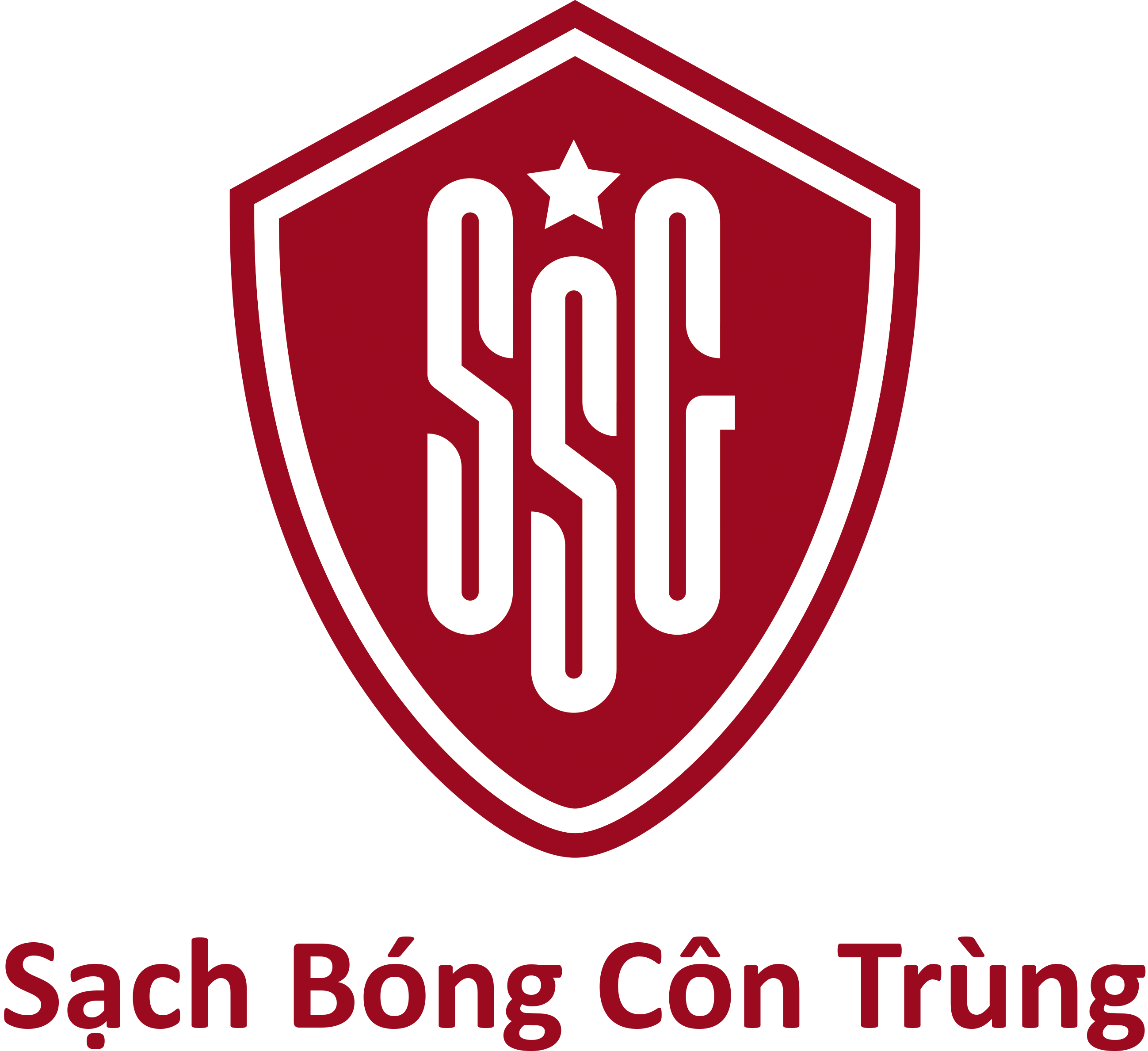 CÔNG TY CP GIẢI PHÁP CÔN TRÙNG VIỆT