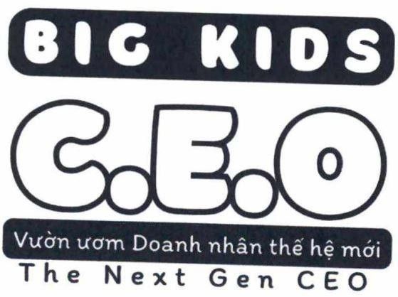 HỌC VIỆN BIG KIDS CEO