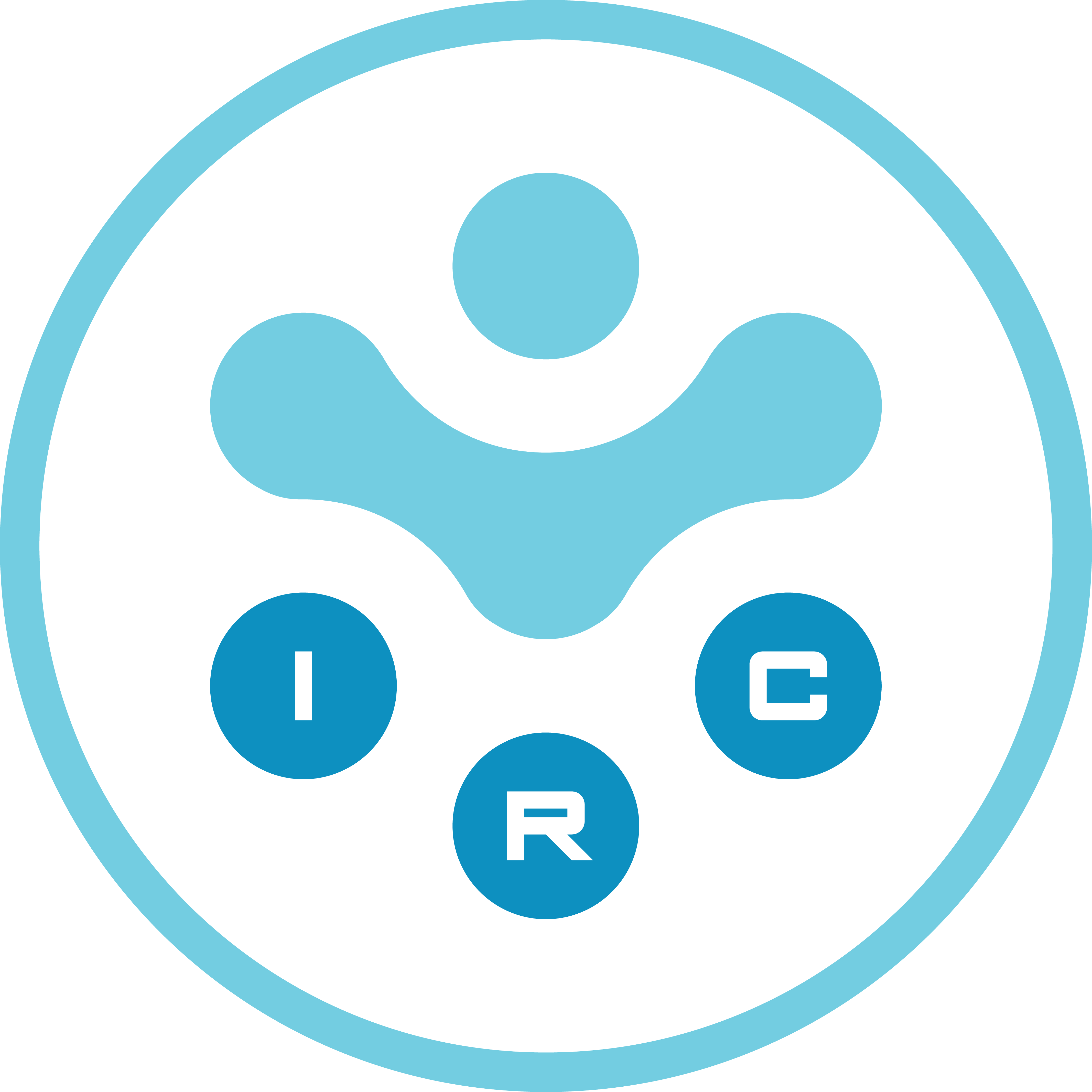 CÔNG TY CỔ PHẦN IRC