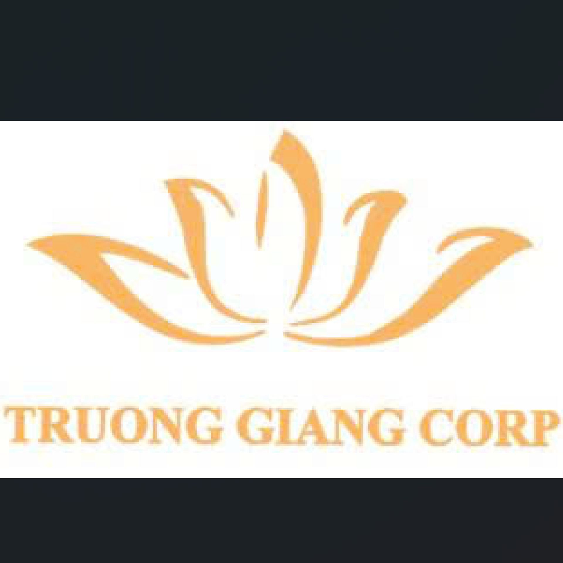 CÔNG TY TNHH ĐẦU TƯ XNK TRƯỜNG GIANG