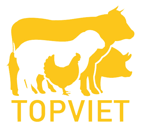 Công ty TNHH Thực Phẩm TOP VIỆT