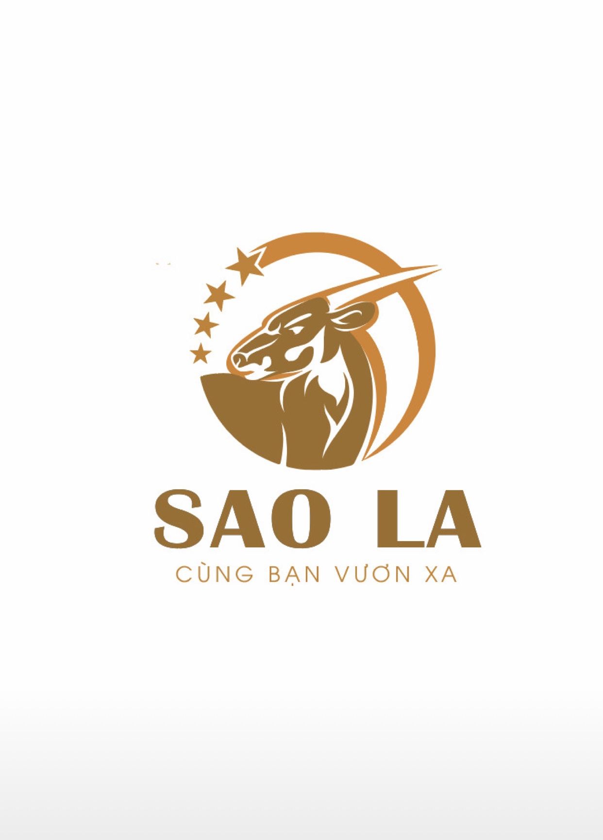 Công ty cổ phần cung ứng nhân lực Sao La