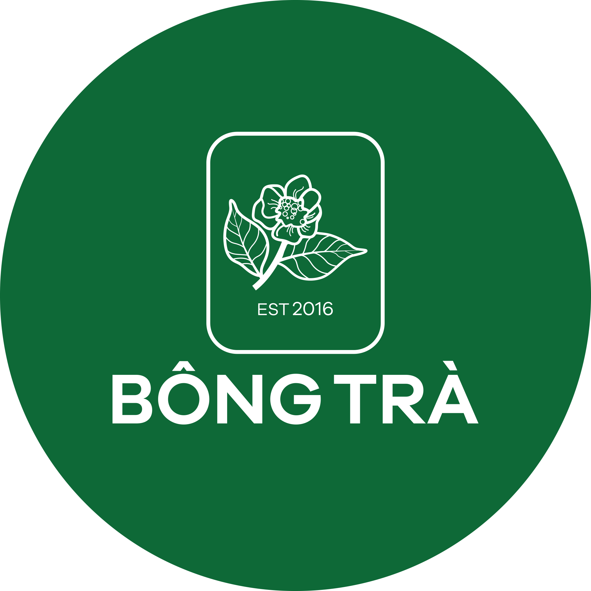 CÔNG TY CỔ PHẦN BÔNG TRÀ F&B