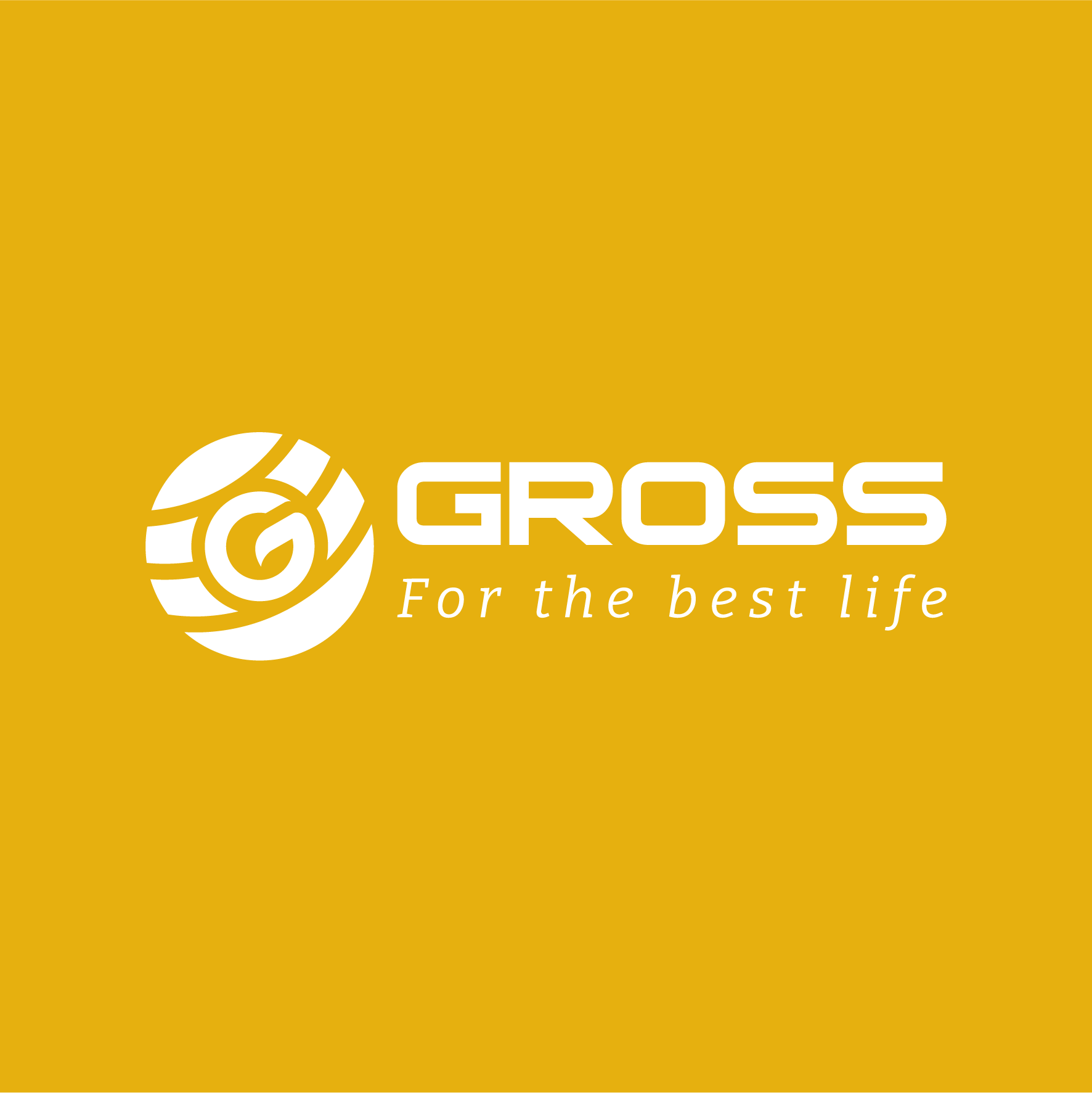 CÔNG TY CỔ PHẦN TẬP ĐOÀN GROSS