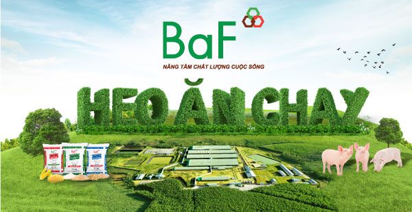 CTY CP SIBA FOOD VIỆT NAM