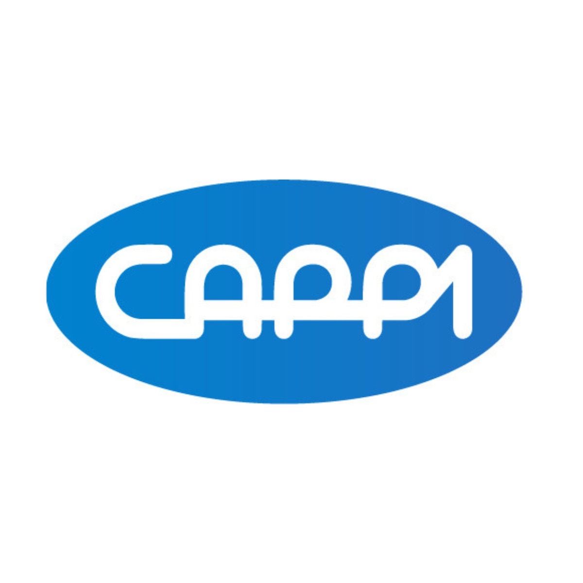 Công ty Cổ phần Tập đoàn Công nghệ Cappi Việt Nam