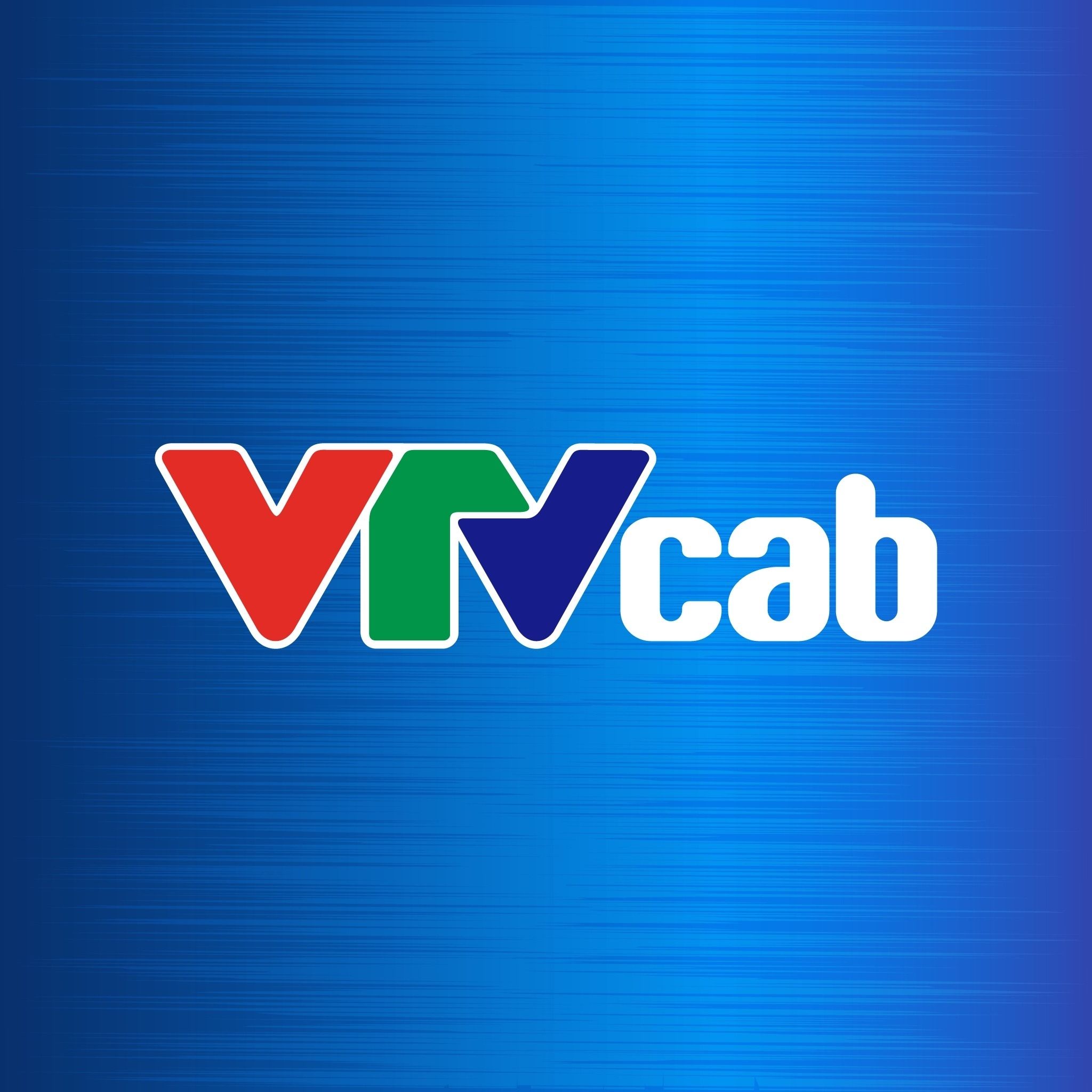 CÔNG TY CỔ PHẦN DỊCH VỤ VIỄN THÔNG TRÍ VIỆT