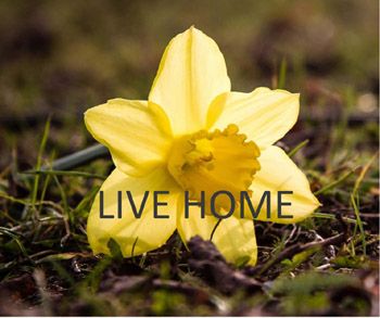 Áo dài Live Home