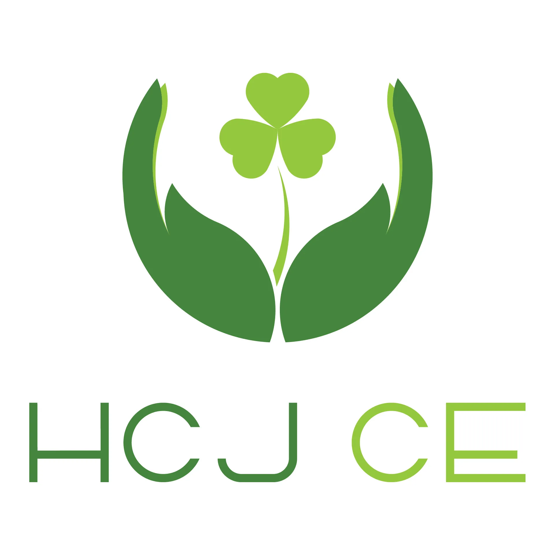 Công ty TNHH một thành viên HCJ CE