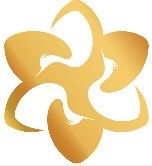 SINGITA SERVICES TRADING CO., LTD