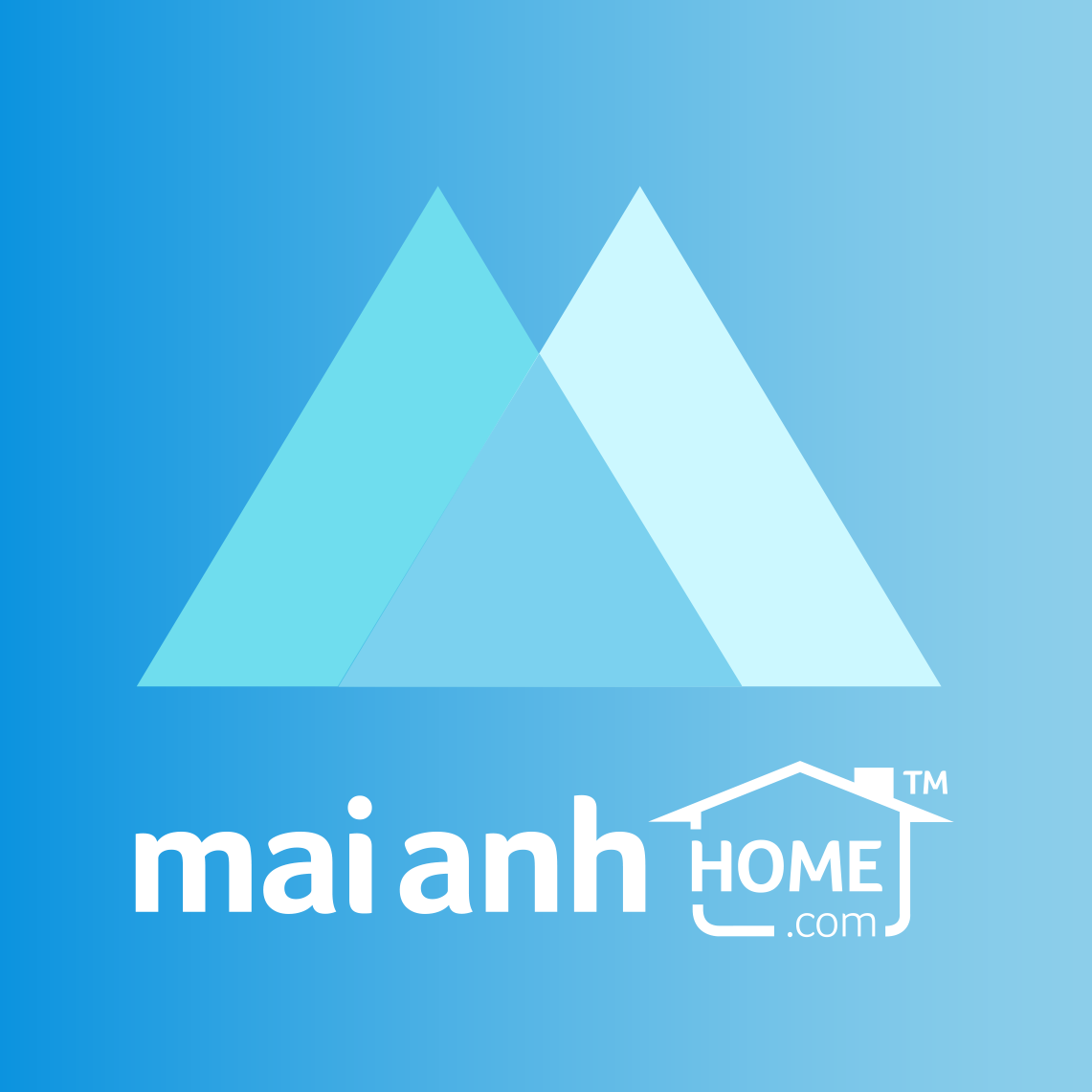 Công ty TNHH Thương mại Mai Anh