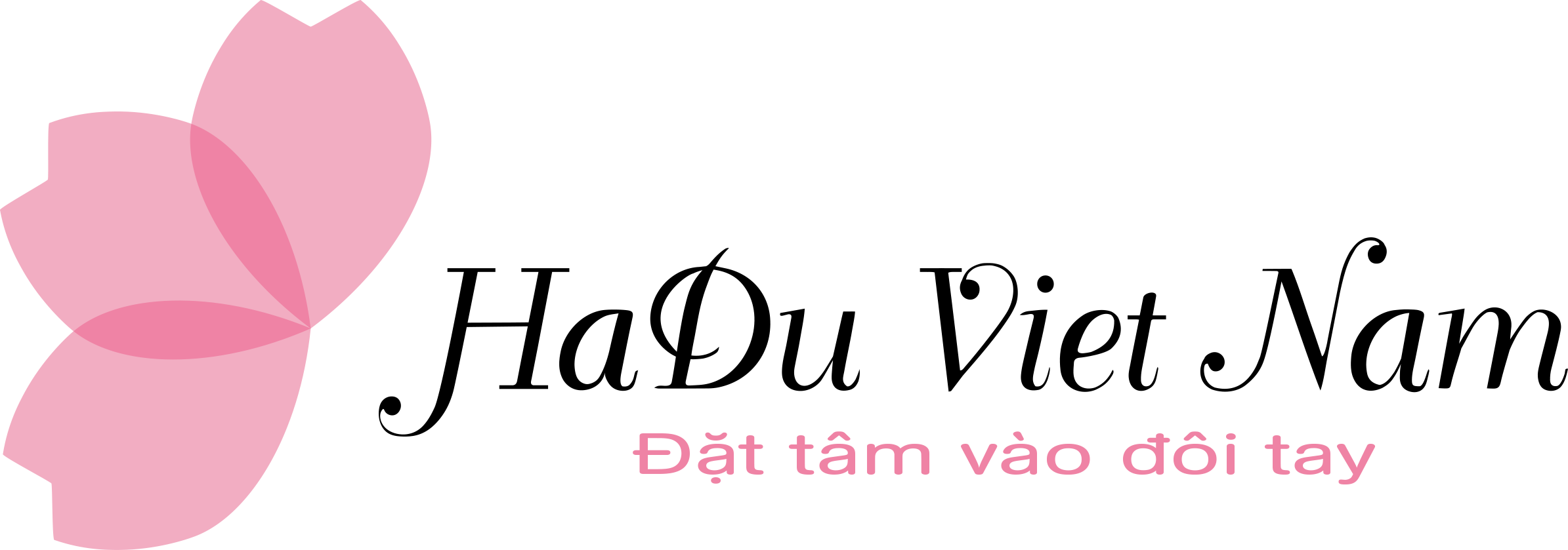CÔNG TY CỔ PHẦN HỌC VIỆN ĐÀO TẠO HADU VIỆT NAM