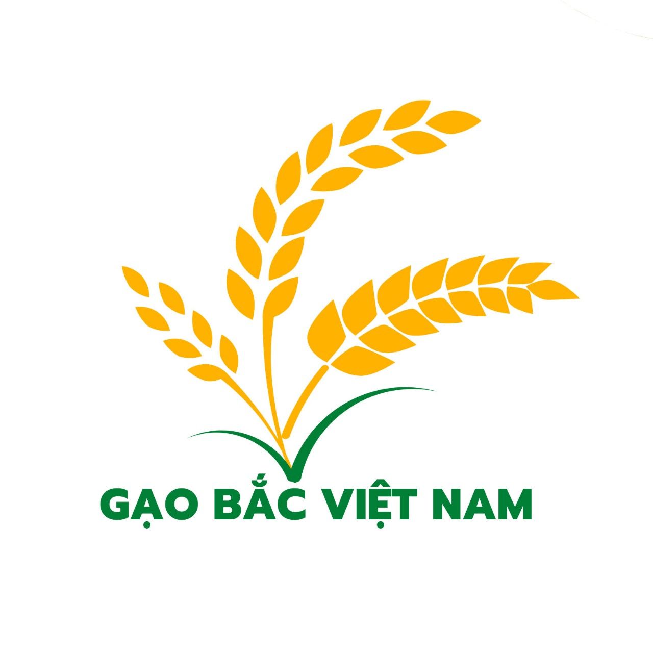 CÔNG TY CỔ PHẦN GẠO BẮC VIỆT NAM