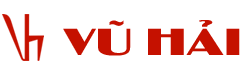 CÔNG TY TNHH THƯƠNG MẠI VŨ HẢI