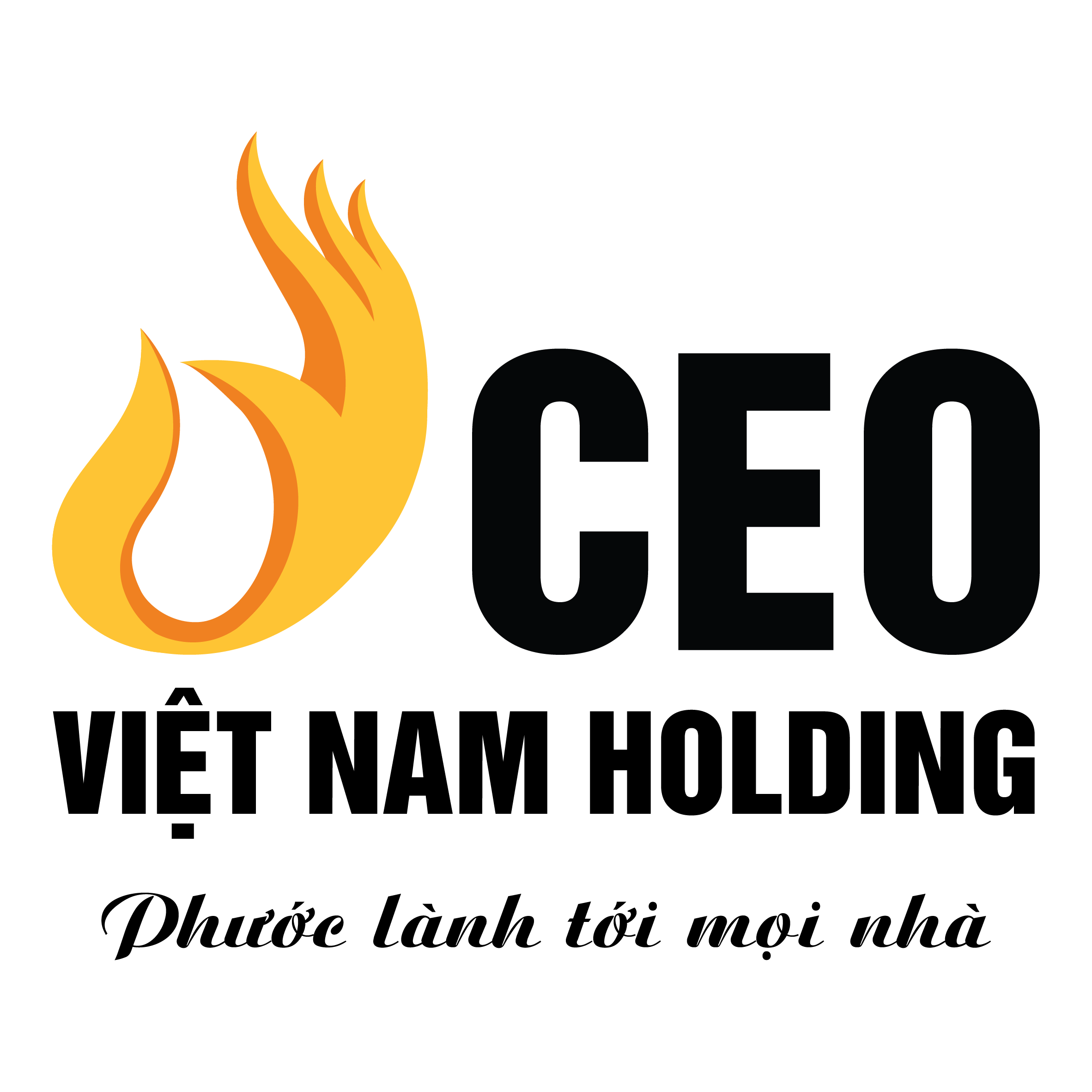 CÔNG TY CỔ PHẦN CEO VIỆT NAM HOLDING