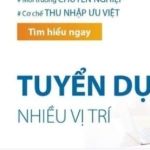 CÔNG TY CỔ PHẦN TED EDU