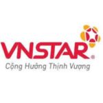 Công ty Cổ phần Sao Việt Nam