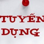 CÔNG TY TNHH GIAO NHẬN VẬN TẢI HOÀNG CARGO