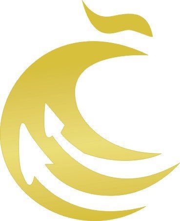 CÔNG TY TNHH VIETNAM CHENKUN LOGISTICS SUPPLY CHAIN MANAGEMENT