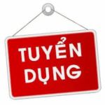 CHI NHÁNH CÔNG TY TNHH HOÀNG TÂN HÒA TẠI HÀ NỘI