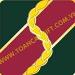 CÔNG TY CỔ PHẦN TẬP ĐOÀN QUÀ TẶNG CAO CẤP TOÀN CẦU