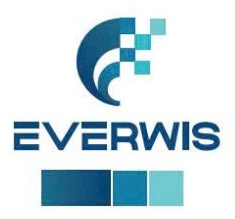 CÔNG TY TNHH CÔNG NGHỆ PHỤ TÙNG Ô TÔ EVERWIS