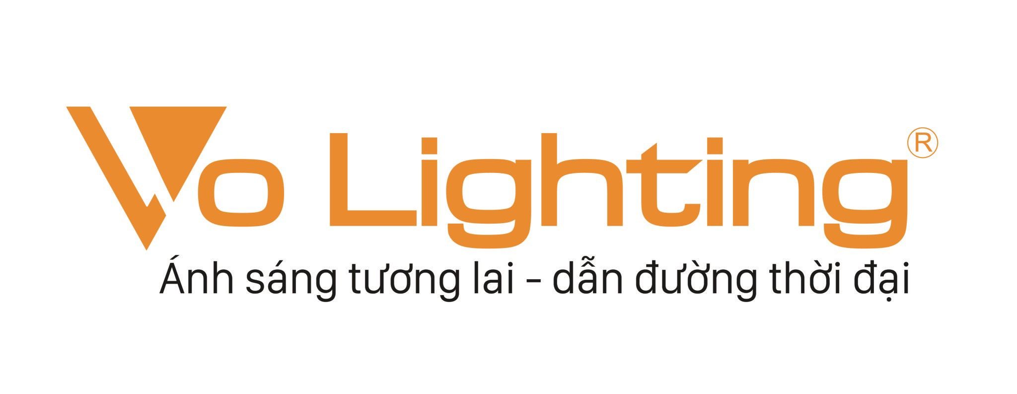 CÔNG TY CỔ PHẦN CÔNG NGHỆ VÀ GIẢI PHÁP CHIẾU SÁNG VIỆT NAM