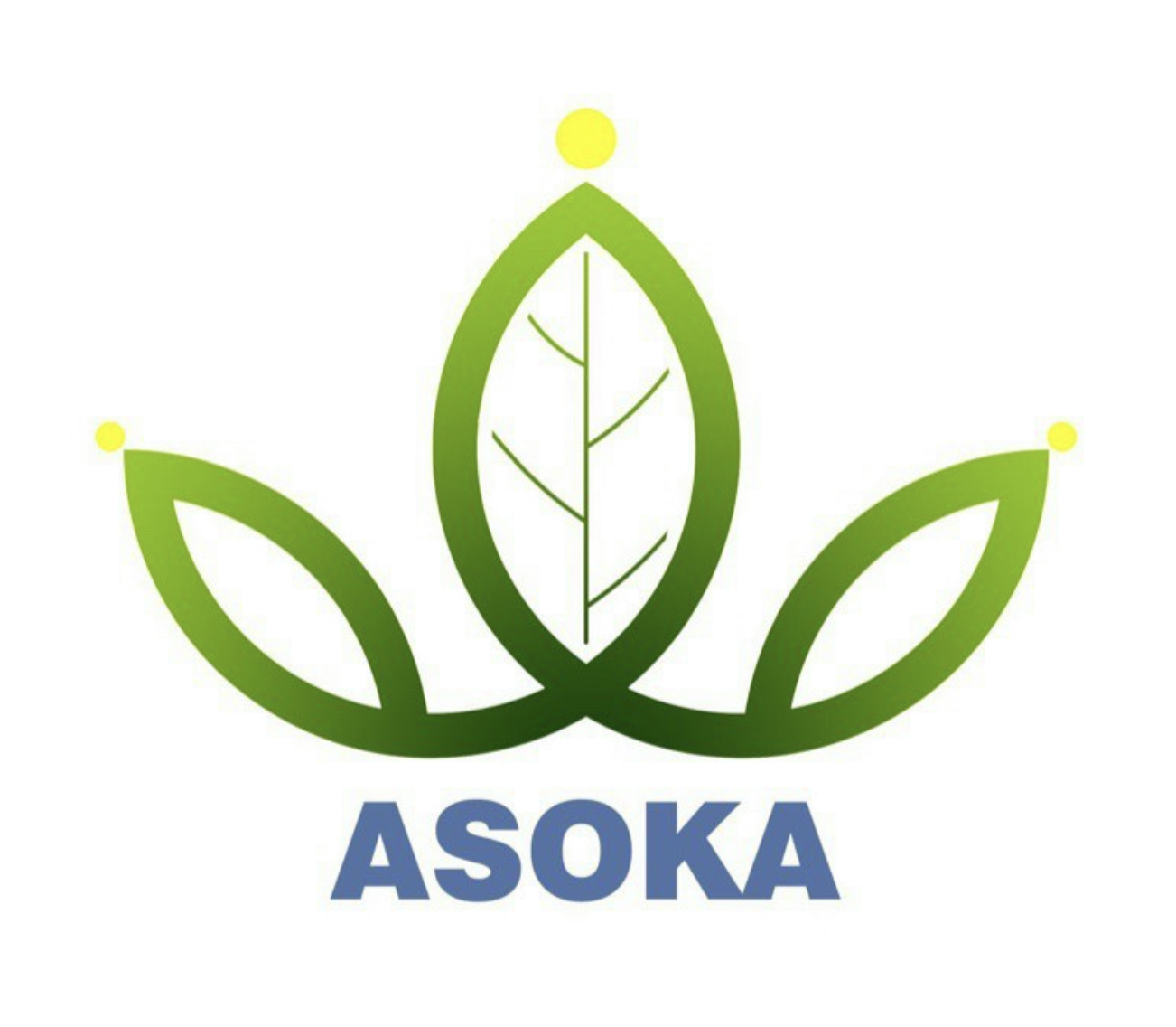 CÔNG TY CỔ PHẦN ASOKA