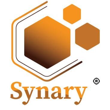 CÔNG TY CỔ PHẦN ĐẦU TƯ GIÁO DỤC QUỐC TẾ SATSI SYNARY