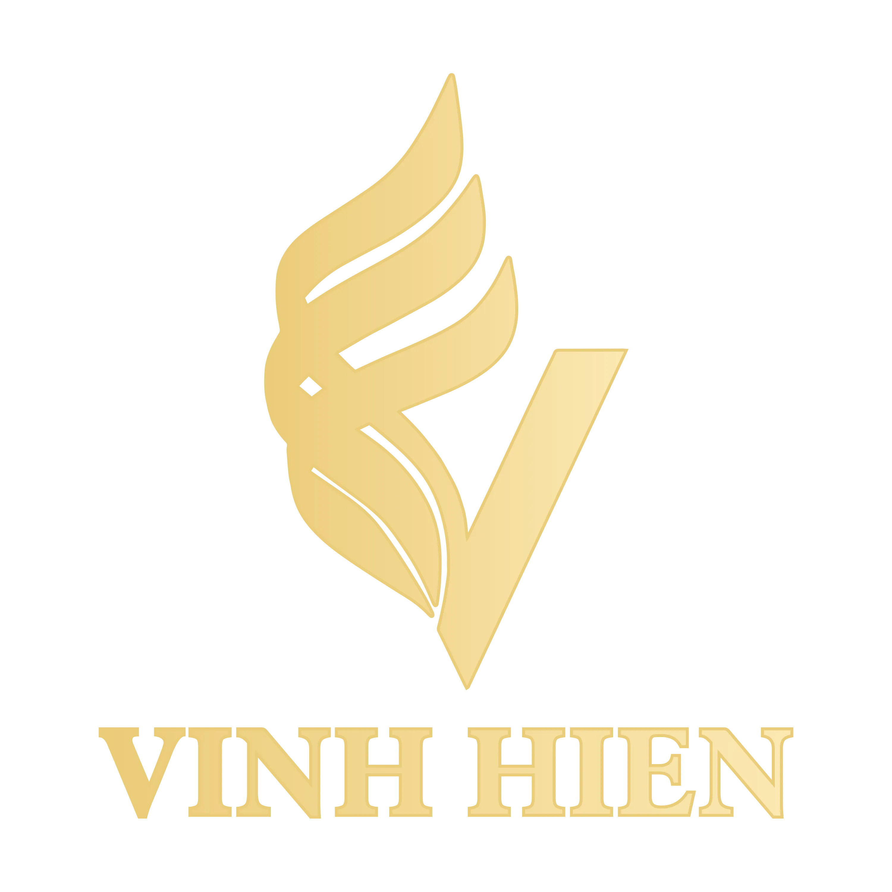 CÔNG TY TNHH MTV VINHIN