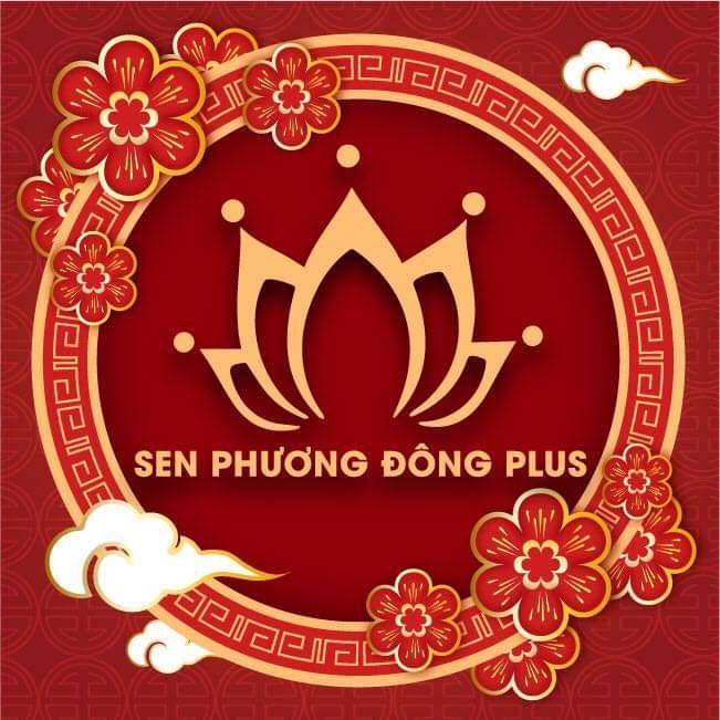 CÔNG TY CỔ PHẦN THƯƠNG MẠI VÀ DỊCH VỤ SEN PHƯƠNG ĐÔNG PLUS