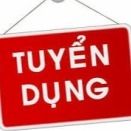 Công ty Cổ phần Thương Mại và Hợp Tác Nhân lưc Thịnh Phát