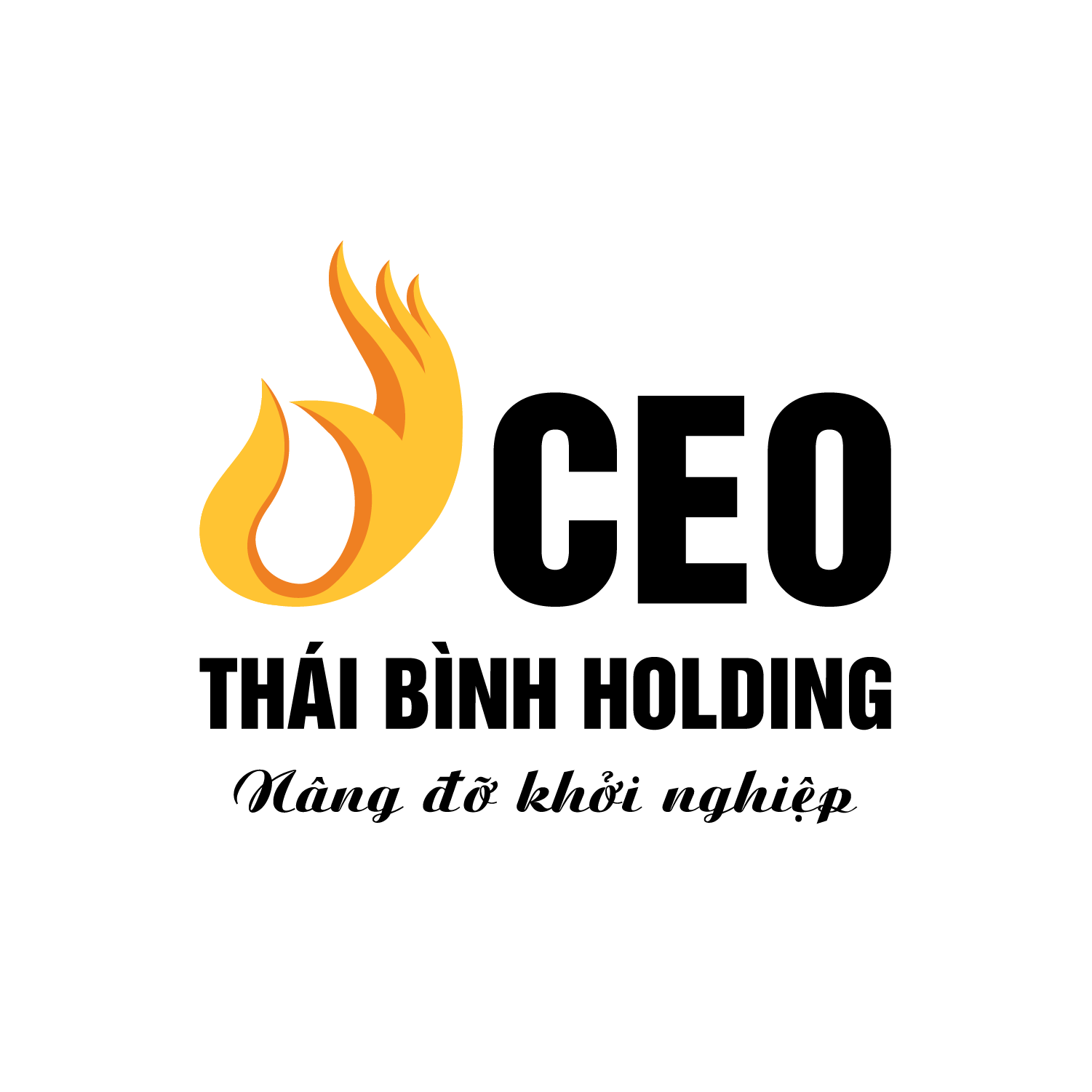 Công ty Cp CEO Thái Bình Holding